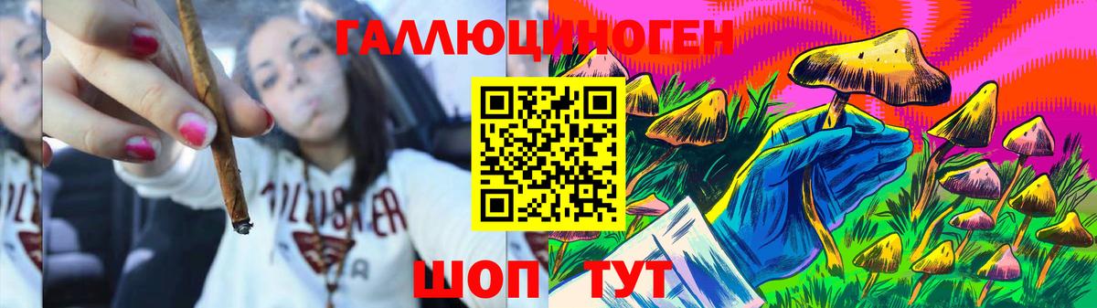 Галлюциногенные грибы Cubensis  Псилоцибиновые грибы мицелий  Вход с VPN  Новосибирск 